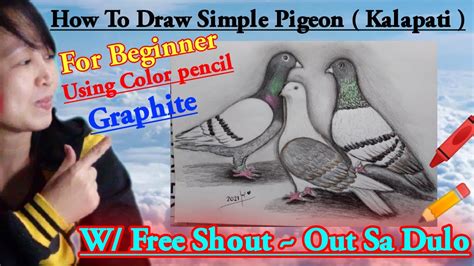 kalapati drawing easy|How To Draw A Beautiful Pigeon In New Ways.